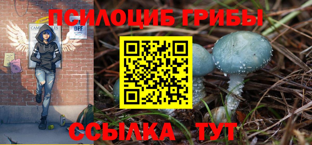 Галлюциногенные грибы MAGIC MUSHROOMS Кохма